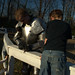 Jane Staton Photo 9