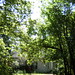 Duncan Anderson Photo 31