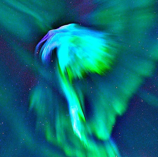 Bruce Frazer Photo 11