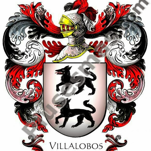 Adrian Villalobos Photo 16