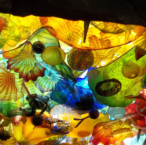 Michele Hoffman Photo 27