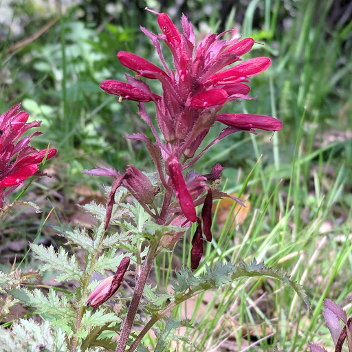 Debbie Hanson Photo 10