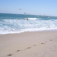 Ken Foreman Photo 13