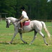 Jeanne May Photo 29