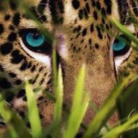 Kathleen Butler Photo 15