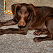 Will Mchenry Photo 15