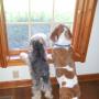 Patricia Krause Photo 14