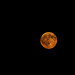 Randy Moon Photo 27