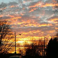 Carolyn Swan Photo 25
