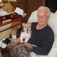 Edward Zink Photo 6