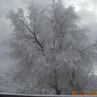 Ronald Graves Photo 27