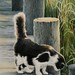 Sherry Foster Photo 26