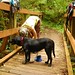 Deborah Bridge Photo 14
