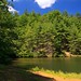 Roger Hale Photo 25