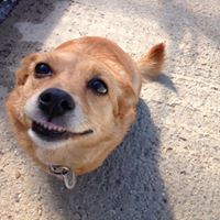 Danny Sharpe Photo 26