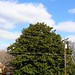 Bridgett Wood Photo 5