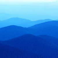 David Cantor Photo 43 David Cantor Photo 43