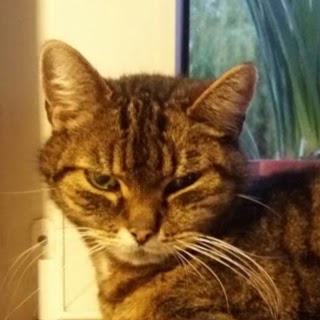 Siegfried Weber Photo 8