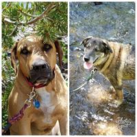 Evelyn Miller Photo 11