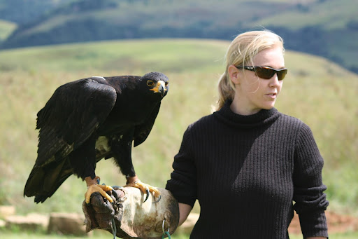 Joanne Meyer Photo 21