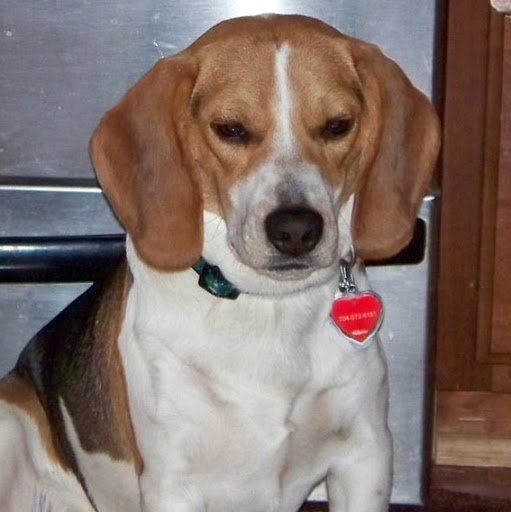 Michelle Mcfall Photo 10