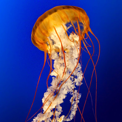 Joey Fields Photo 14