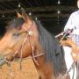 Kristine Chandler Photo 29