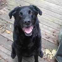 Kathy Conlon Photo 19