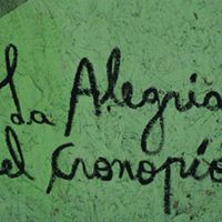 Dina Martin Photo 15