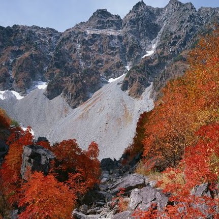 Elizabeth Mcclain Photo 21