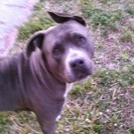 Kenneth Sims Photo 8