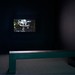 David Weiss Photo 27