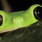 Lisa Bertrand Photo 30