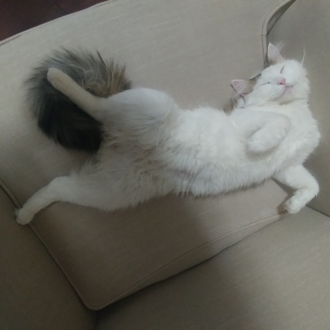 Rebecca Robles Photo 23