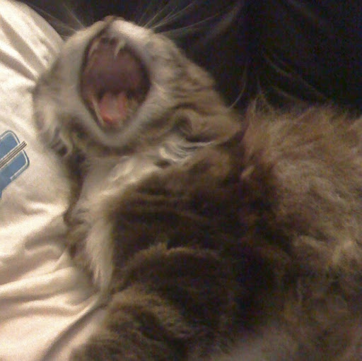 Eric Matheson Photo 14