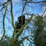 James Goodwin Photo 29