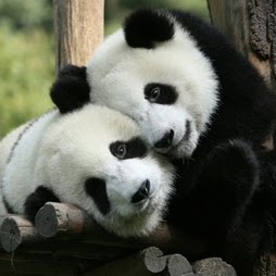 Rachel Mcdaniels Photo 7