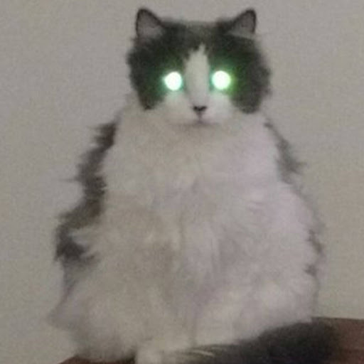 Joseph Molter Photo 1