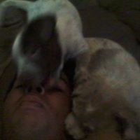 Delfino Rosales Photo 12