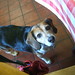 John Irwin Photo 28