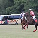 Howard Hodges Photo 8