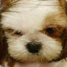 Janette Castro Photo 24