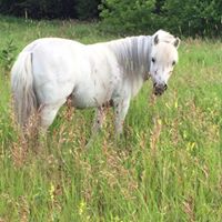 Tracey Snyder Photo 28