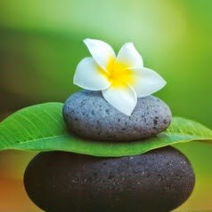 Jane Barnard Photo 11