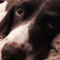 Malcolm Rodgers Photo 13 Malcolm Rodgers Photo 13