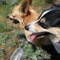 Shirley Chase Photo 39