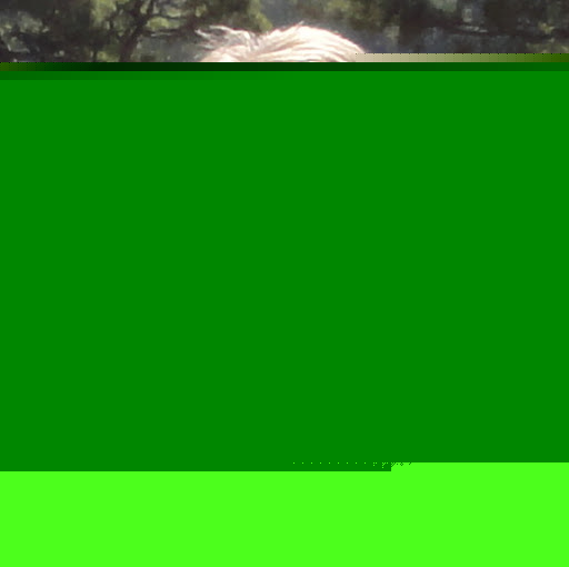 Jean Donnelly Photo 12