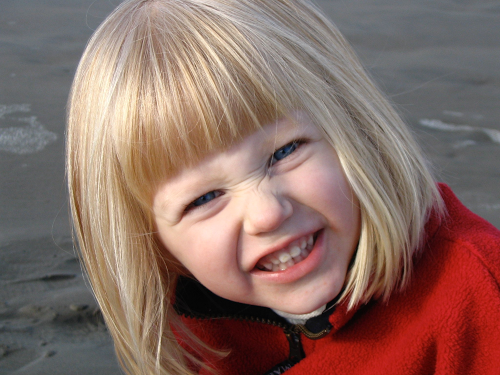 Susan Callahan Photo 30