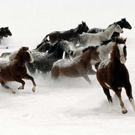 Julie Delgado Photo 13