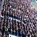 Matthew Harding Photo 46